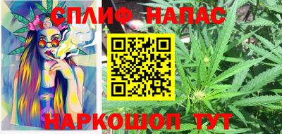 гидра Тверь