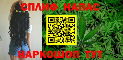 гидра Тверь